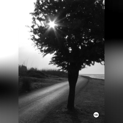 Скачать книгу Лучшие годы