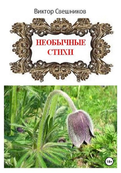 Скачать книгу Необычные стихи