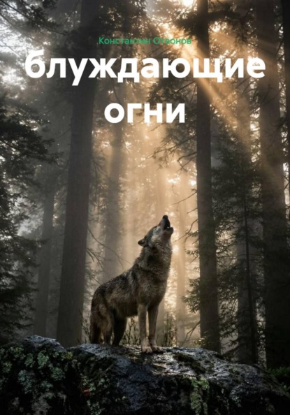 Скачать книгу блуждающие огни