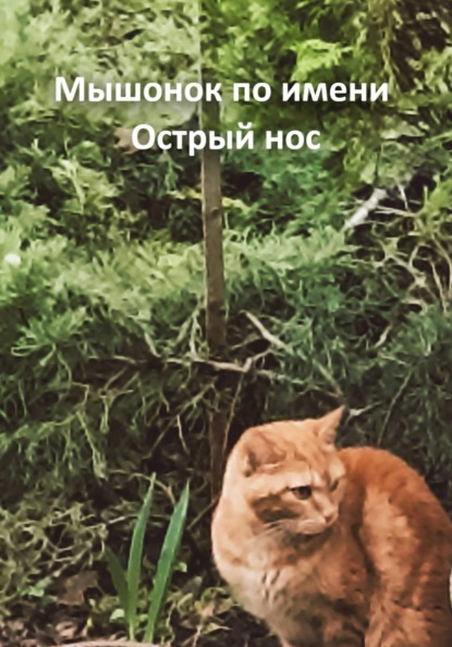 Мышонок по имени Острый нос
