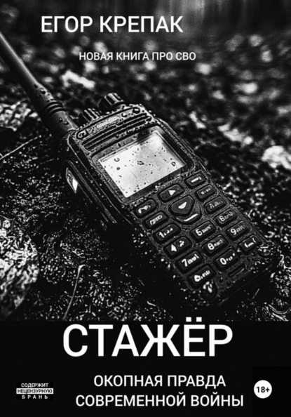 Скачать книгу Стажёр