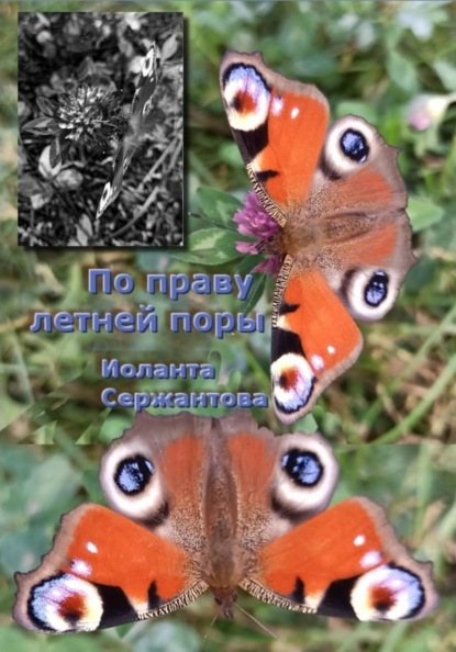 Скачать книгу По праву летней поры