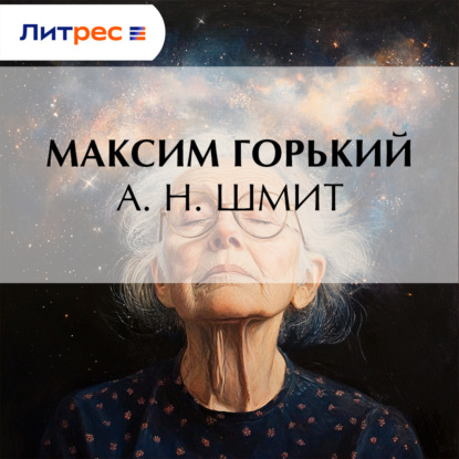 Скачать книгу А. Н. Шмит
