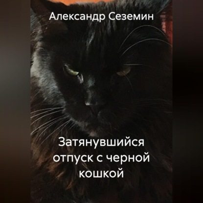 Скачать книгу Затянувшийся отпуск с черной кошкой