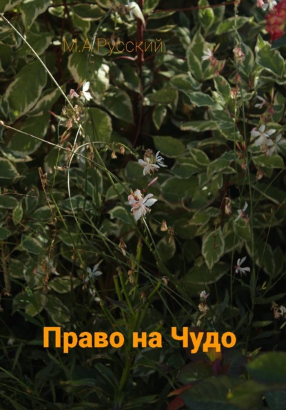 Скачать книгу Право на чудо