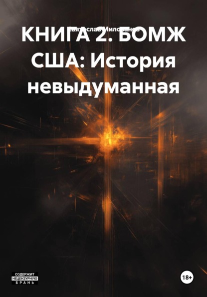 Скачать книгу КНИГА 2. БОМЖ США: История невыдуманная