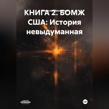 Скачать книгу КНИГА 2. БОМЖ США: История невыдуманная