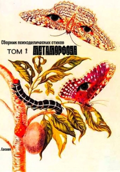 Скачать книгу Метаморфоза. Сборник стихов