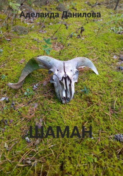Скачать книгу Шаман