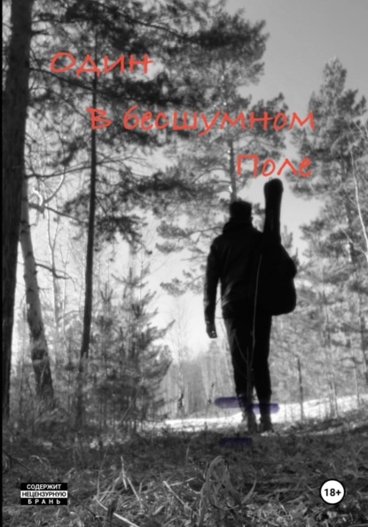 Скачать книгу Один в бесшумном поле