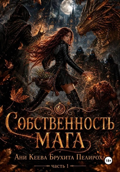 Собственность мага