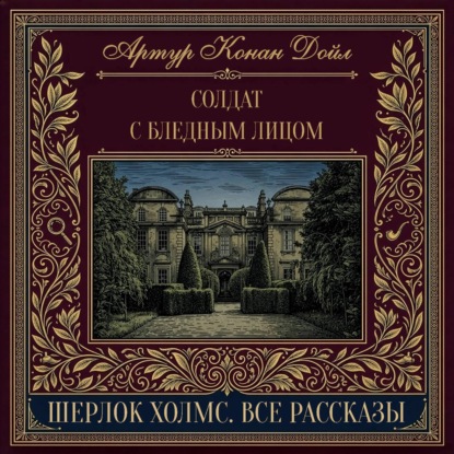 Скачать книгу Солдат с бледным лицом