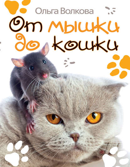 Скачать книгу От мышки до кошки