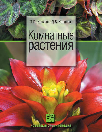 Скачать книгу Комнатные растения