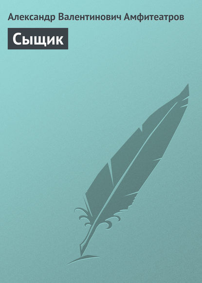 Скачать книгу Сыщик