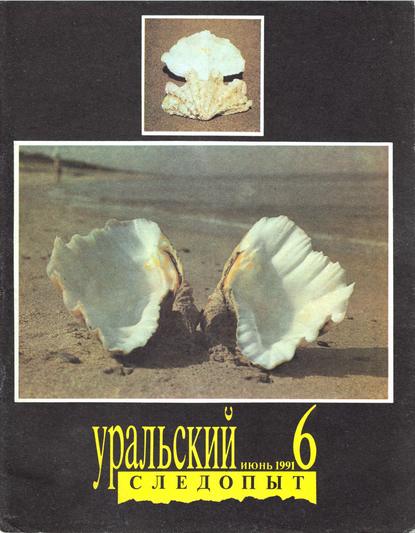 Скачать книгу Уральский следопыт №06/1991