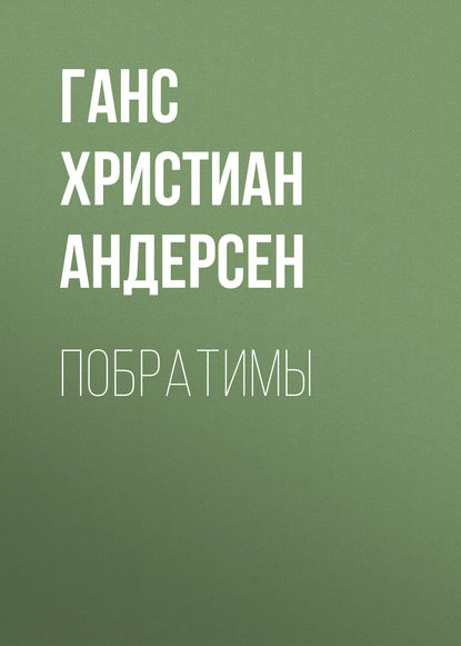 Скачать книгу Побратимы