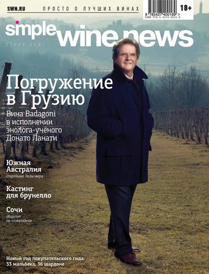 Скачать книгу Погружение в Грузию