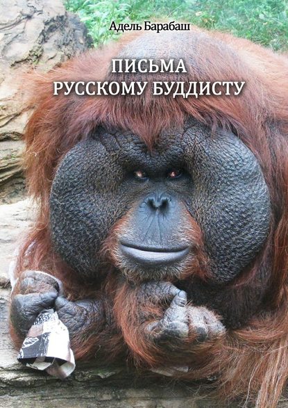 Скачать книгу Письма русскому буддисту