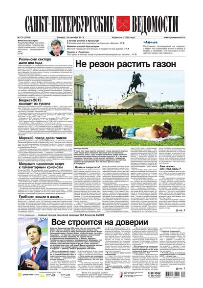 Скачать книгу Санкт-Петербургские ведомости 176