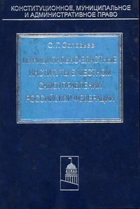 Муниципально-властные институты в местном самоуправлении Российской Федерации