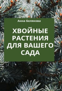 Хвойные растения для вашего сада