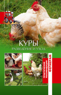 Куры. Разведение и уход