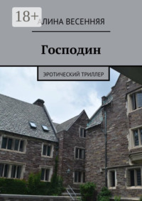 Господин. Эротический триллер