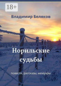 Норильские судьбы. Повести, рассказы, мемуары