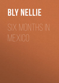 Six Months in Mexico