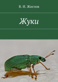 Жуки