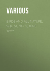 Birds and All Nature, Vol. VI, No. 1, June 1899