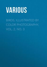 Birds, Illustrated by Color Photography, Vol. 2, No. 3