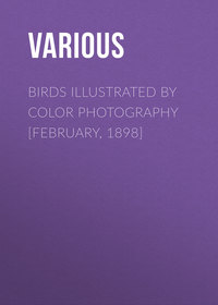 Birds Illustrated by Color Photography [February, 1898]