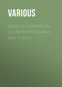 Birds Illustrated by Color Photography Vol 3. No 4.