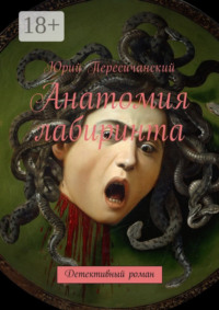 Анатомия лабиринта. Детективный роман