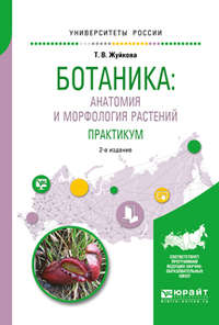 Ботаника: анатомия и морфология растений. Практикум 2-е изд., пер. и доп. Учебное пособие для вузов