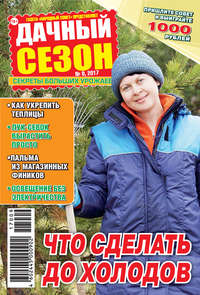 Дачный сезон №09/2017