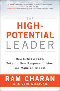 The High-Potential Leader. How to Grow Fast, Take on New Responsibilities, and Make an Impact