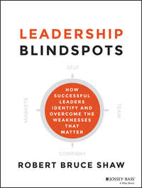 Leadership Blindspots. How Successful Leaders Identify and Overcome the Weaknesses That Matter