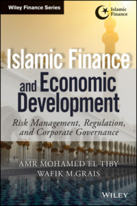 Islamic Finance and Economic Development. Risk, Regulation, and Corporate Governance