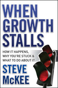 When Growth Stalls. How It Happens, Why You're Stuck, and What to Do About It