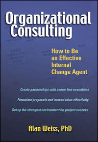 Organizational Consulting. How to Be an Effective Internal Change Agent