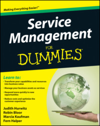 Service Management For Dummies