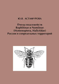 Пчелы подсемейств Rophitinae и Nomiinae (Hymenoptera, Halictidae) России и сопредельных территорий