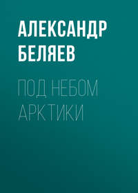 Под небом Арктики