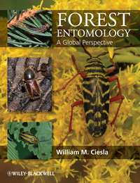 Forest Entomology. A Global Perspective