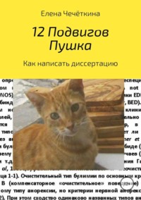 12 подвигов Пушка