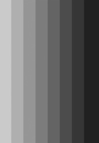 Хрома. Книга о цвете