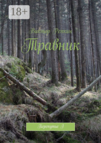 Травник. Перепутье I